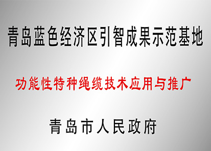 功能性特種繩纜技術應用與推廣示范基地